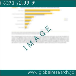 グローバルリサーチ調査レポートのイメージ